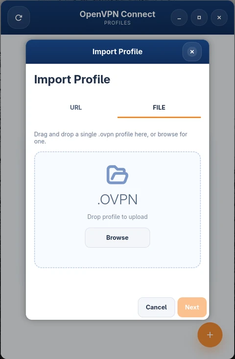 Import profile – file upload